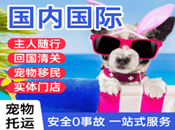张孝航空货运国际宠物托运 【国